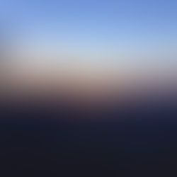 Litter: the simplest struggle  