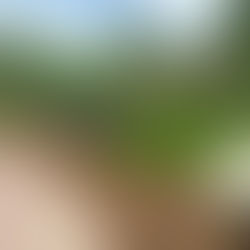 Arboreta in the Appalachian Region