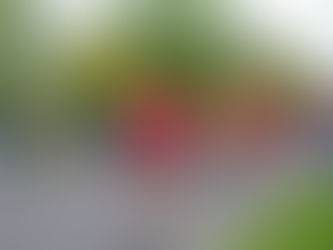 Mobility Training for Runners