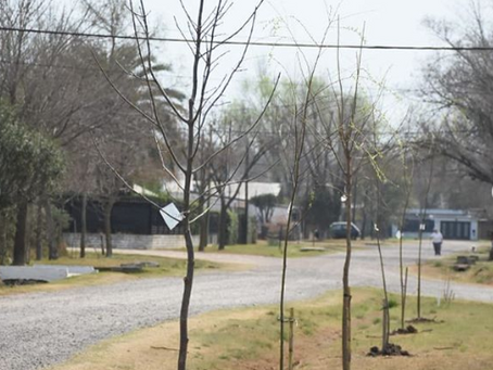 Funes: Comenzó el plan local de forestación "Más árboles, más vida"