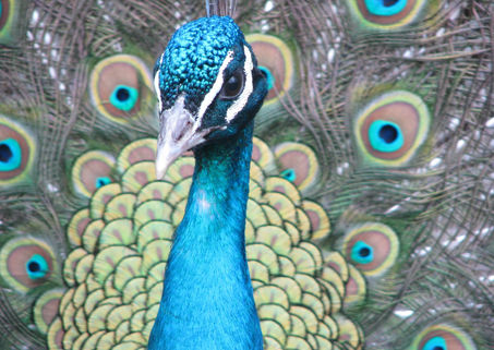 Are You Superstitious?