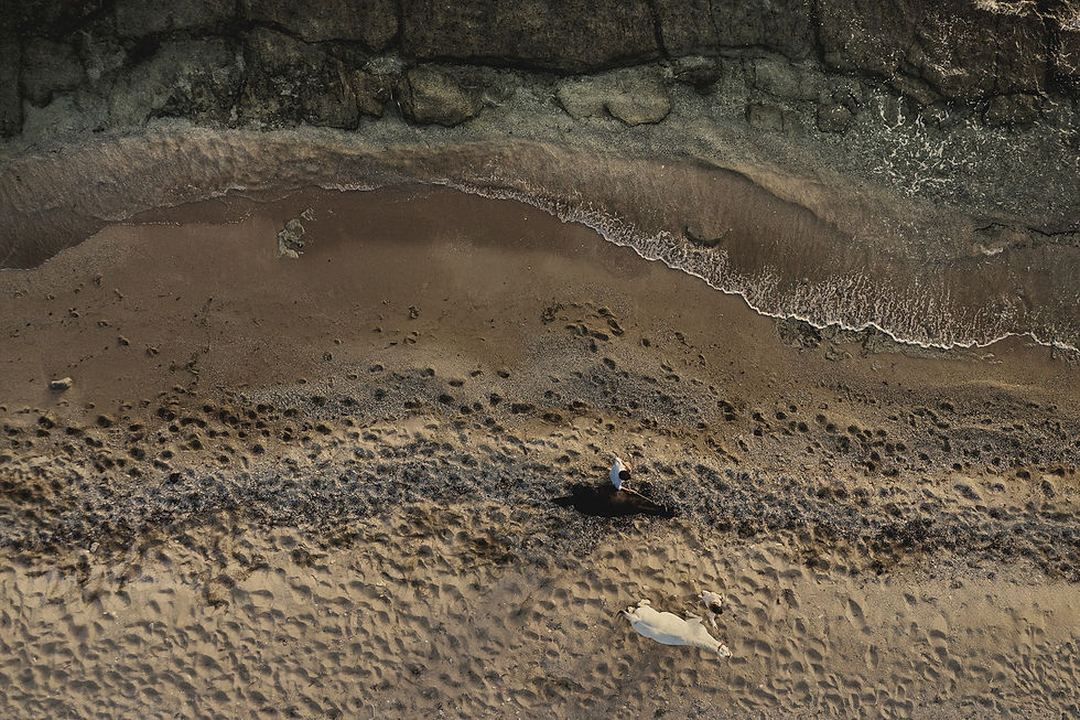 DJI_0757.jpg