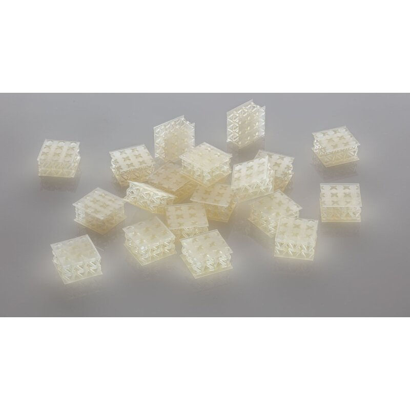 Miniature : BASF Ultracur3D EL 60 Flexible Resin Transparent