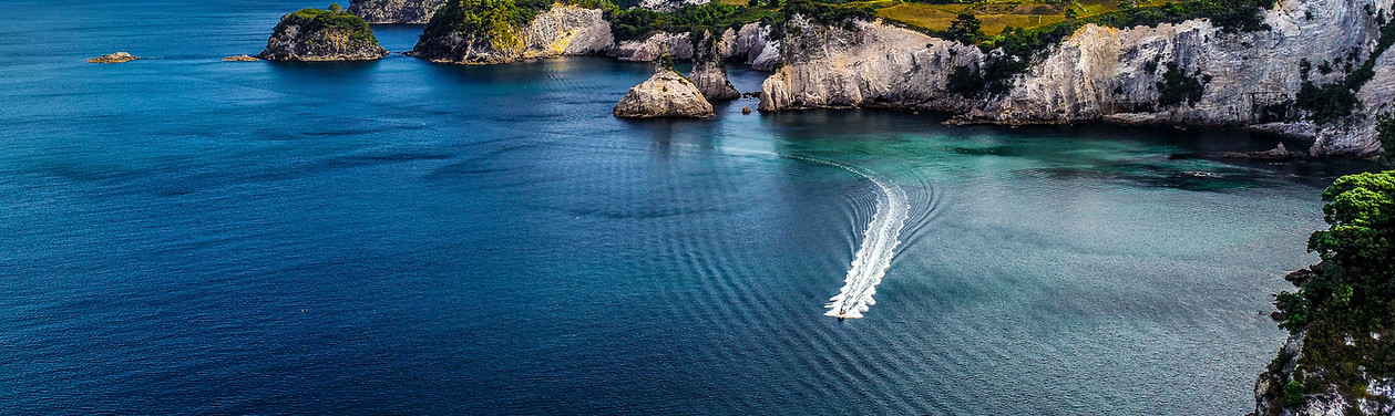 Phantom 4 Pro_edited.jpg