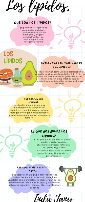 Infografia De Los Lipidos.jpg
