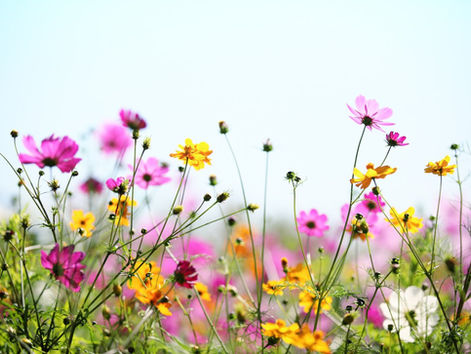 Ancient Seers on the Wind