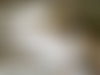 Big Two-Hearted River