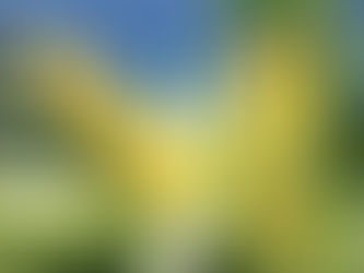 Rising Through the Clouds