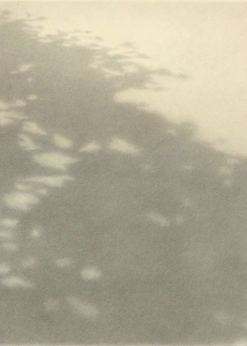 image_png (5).png