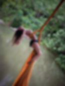 Nature Aerial Silks