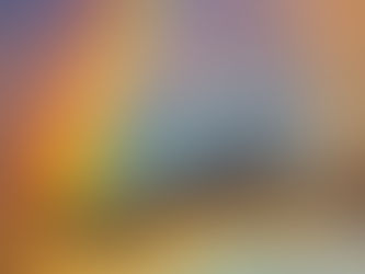 My Thoughts on Dogs...