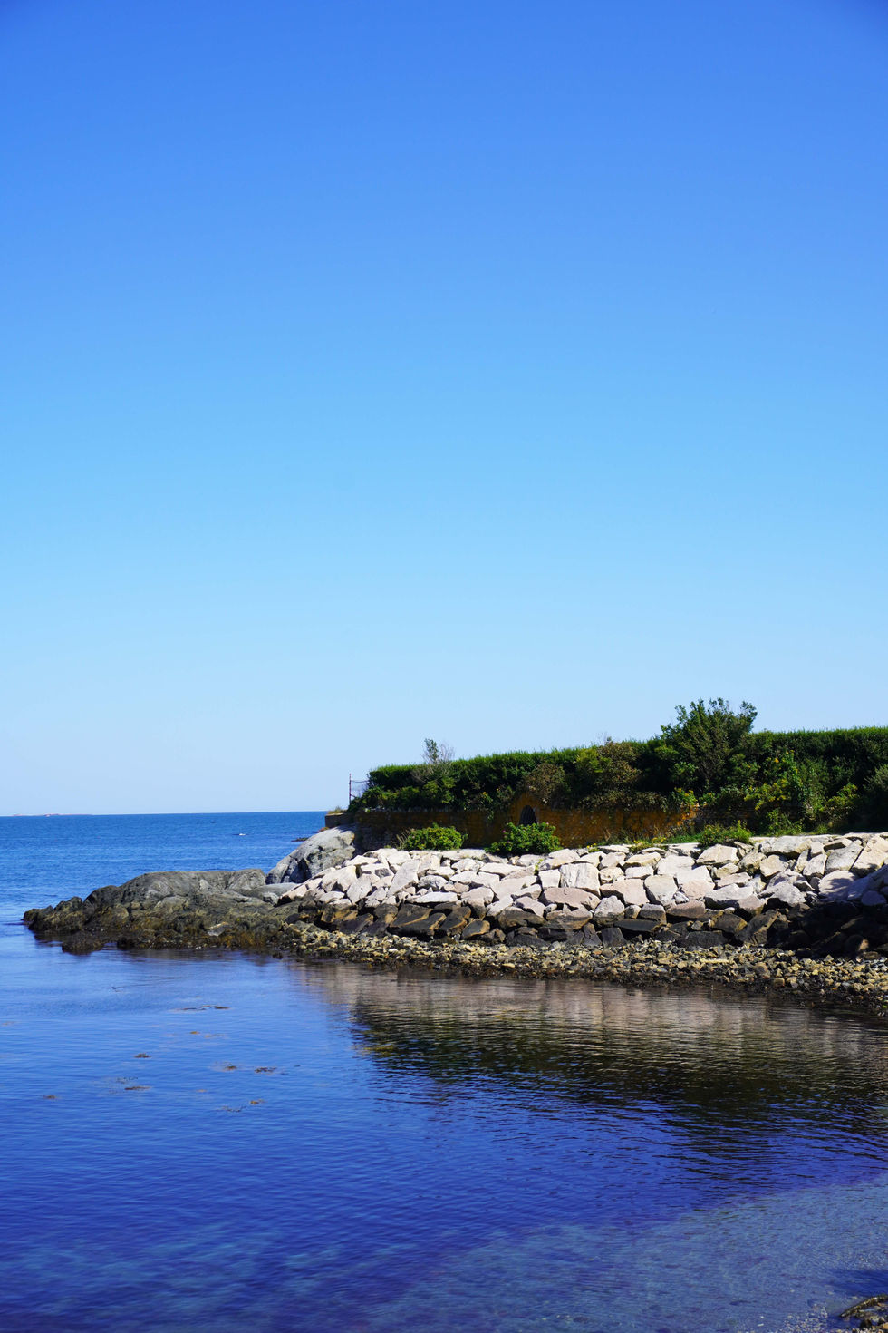 DSC03790.jpg
