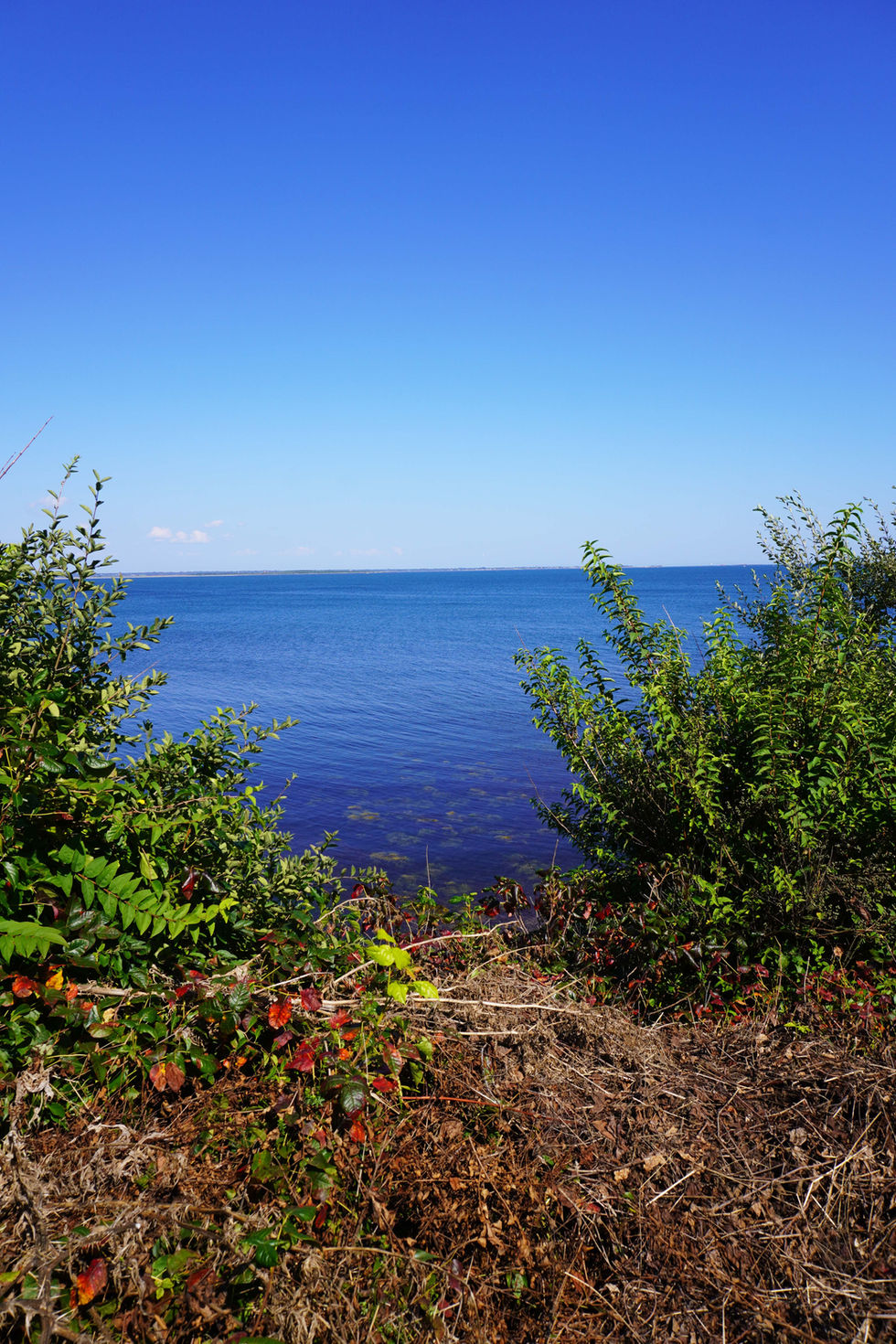 DSC03782.jpg