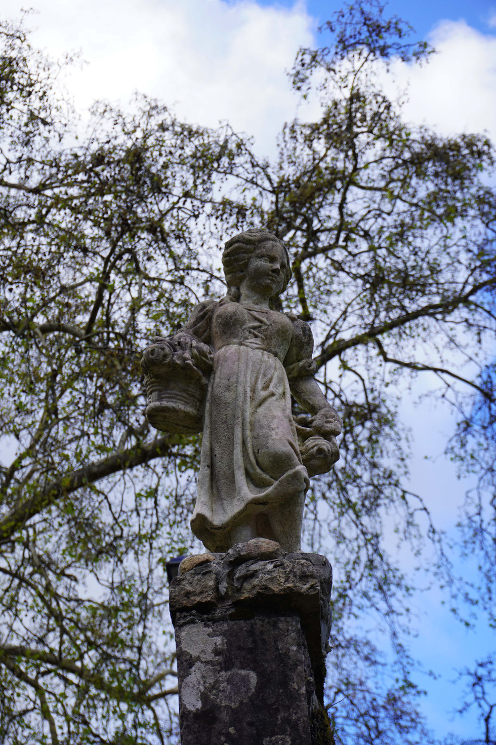 DSC01203.jpg