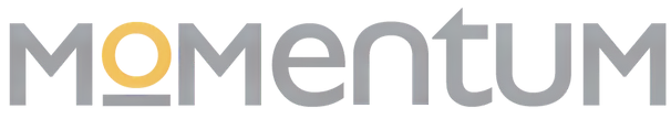 Momentum Staffing Group