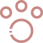 Group 9 (3).png