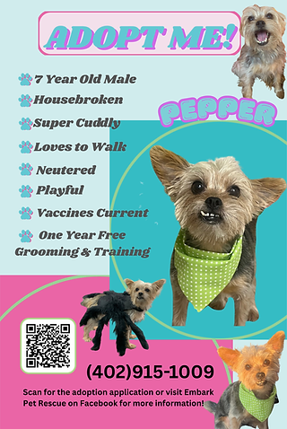 Pepper adoption poster for cymk (24 x 36 in)-2.png.png