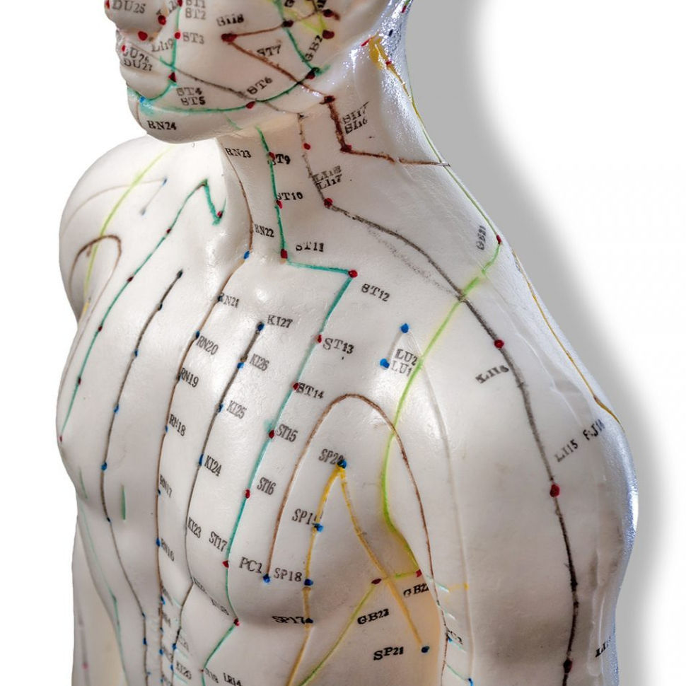TzuChiClinic-AcupuntureModel-w-1536x1020_edited_edited