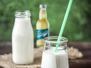 Pedacola Buttermilch in Glas