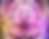 SPIRITUALLY INCLINED background.png