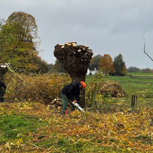Neue Förderrunde der Umweltschecks „Naturschutz“ gestartet