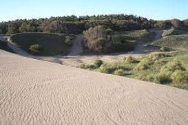 medanos.jpg