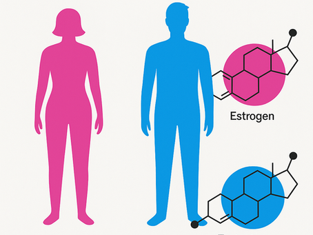 The ketogenic diet corrects metabolic hypogonadism and preserves pancreatic ß-cell function in overweight/obese men: a single-arm uncontrolled study - PMC