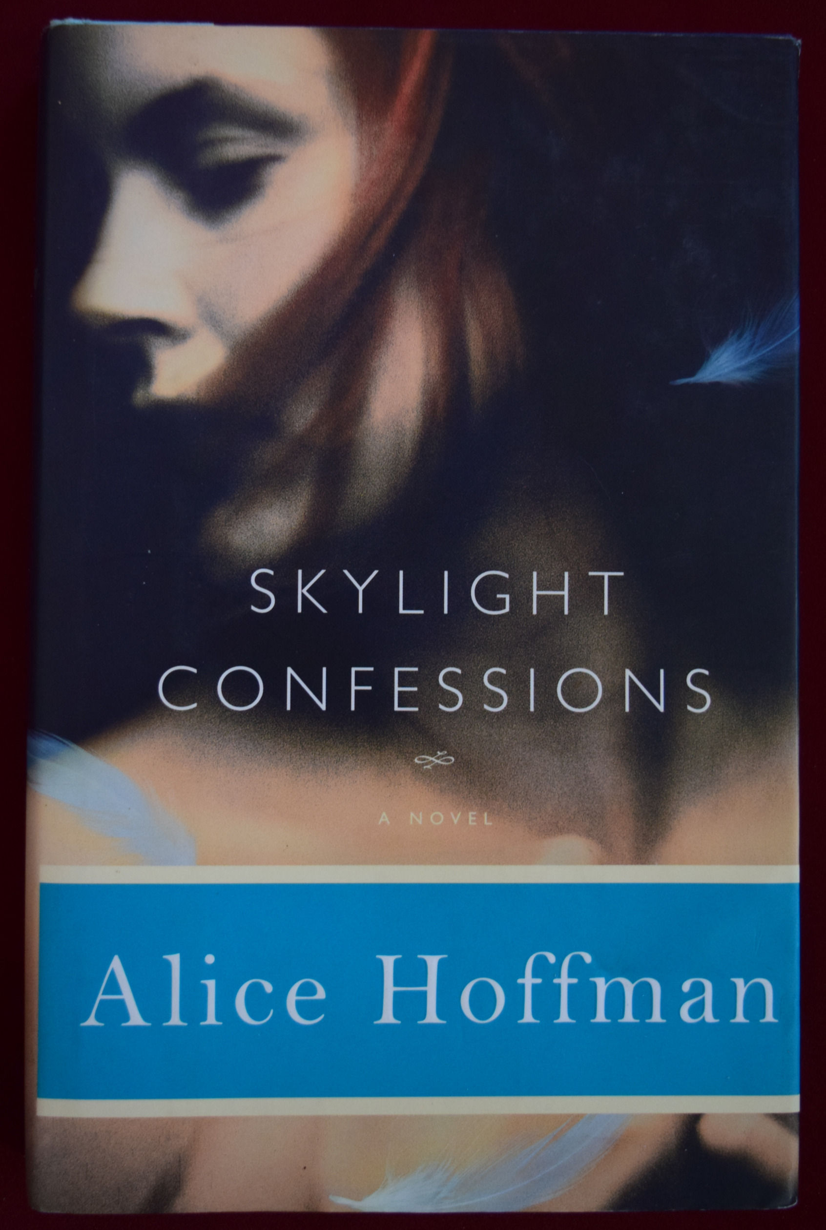 Skylight Confessions - Alice Hoffman