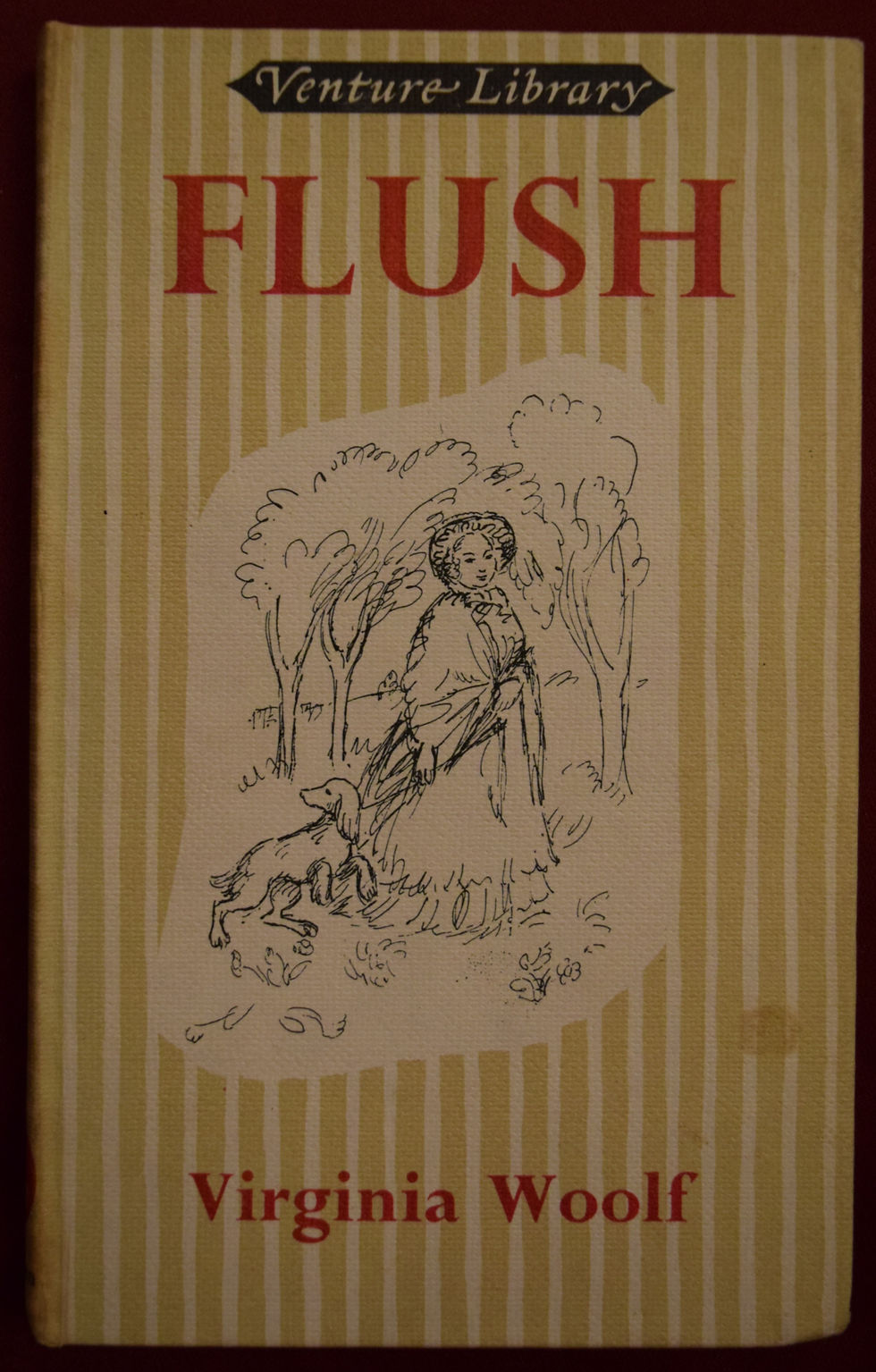 Thumbnail: Flush - Virginia Woolf