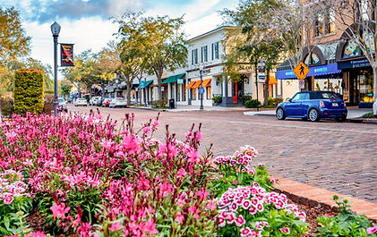 Best Realtor In Winter Park, Sell My Home In Winter Park