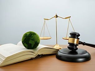 Legislação Ambiental Brasileira: conheça as principais leis