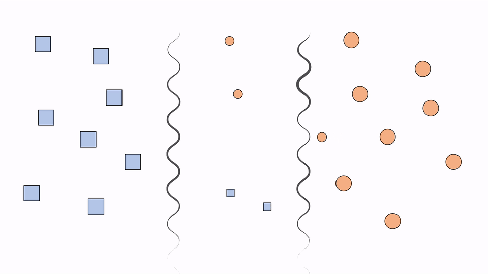 Instructional Animation