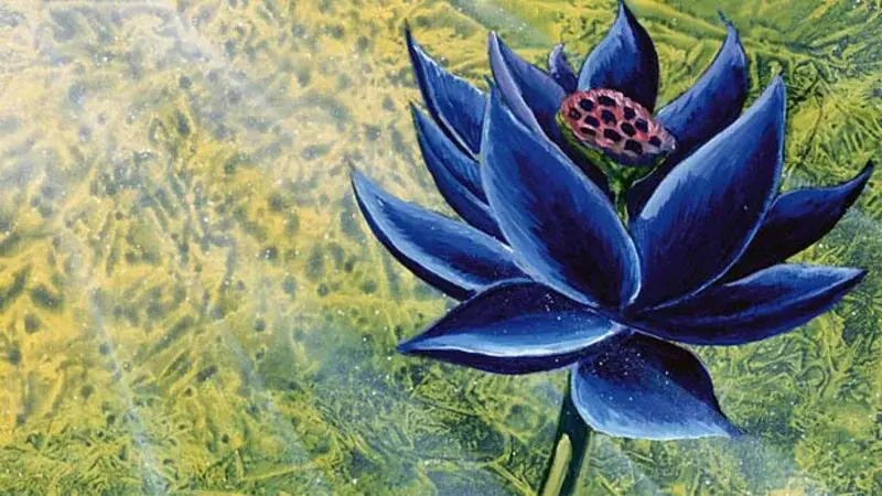 who-owns-the-original-christopher-rush-black-lotus-artwork-v0-OrFc8_YH6Ot8o-xa4lb68377_JsU