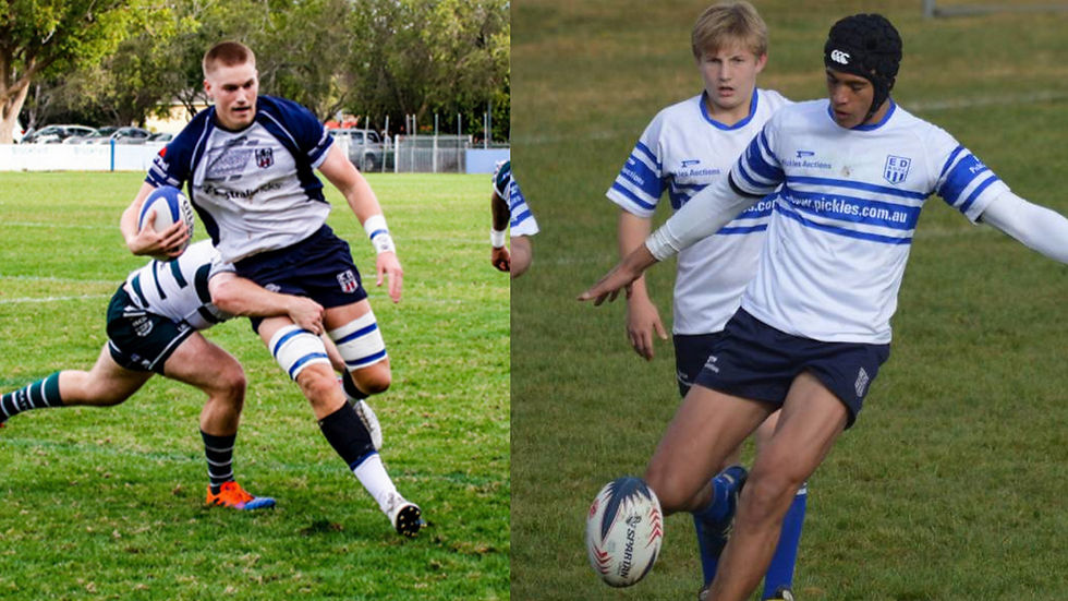 WOODS IN THE WALLABIES