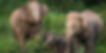 Kuiburi National Park