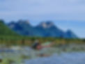 Marshlands in Thailand