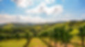 Monsoon Valley Vineyard