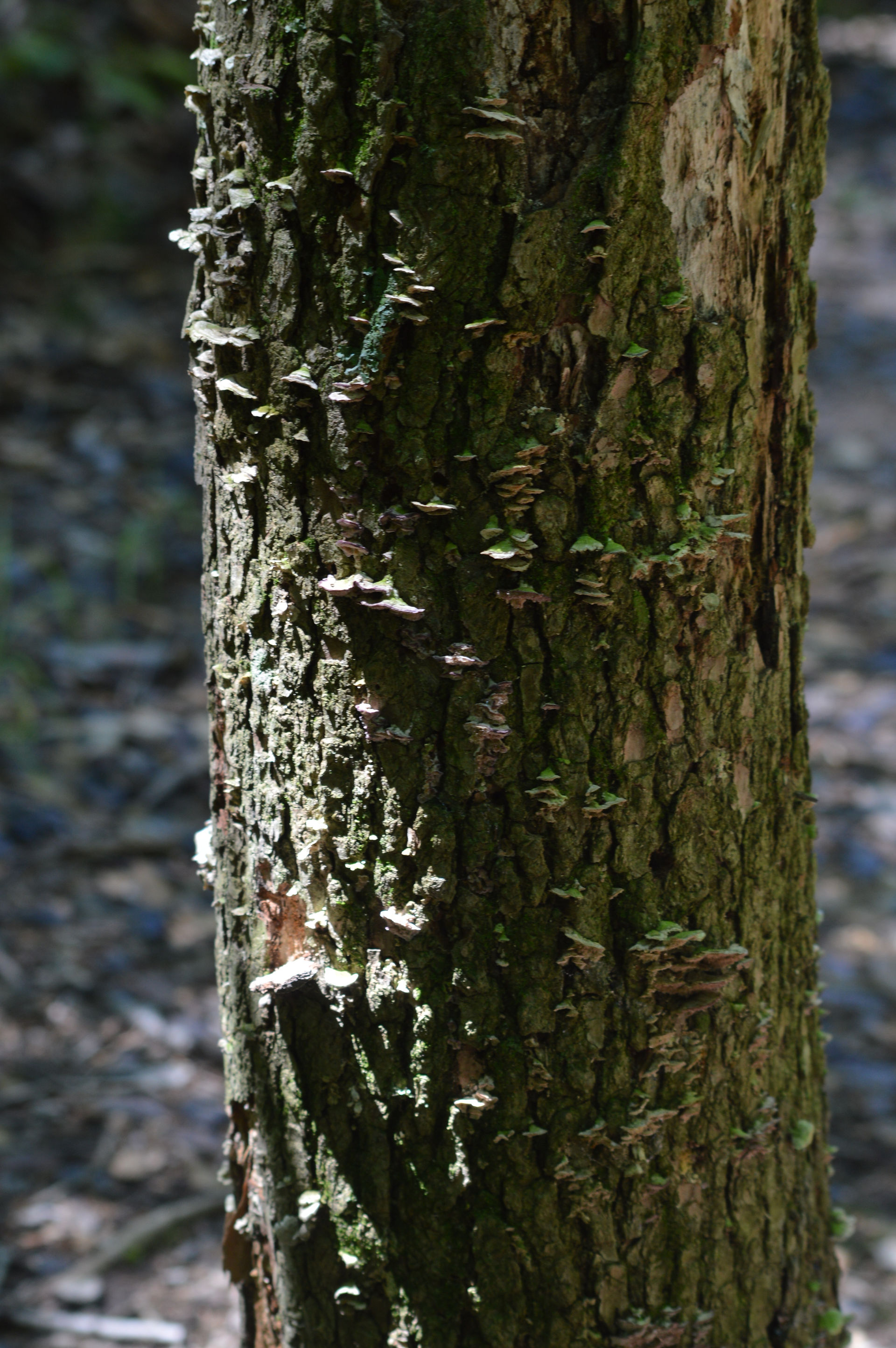 DSC_8105