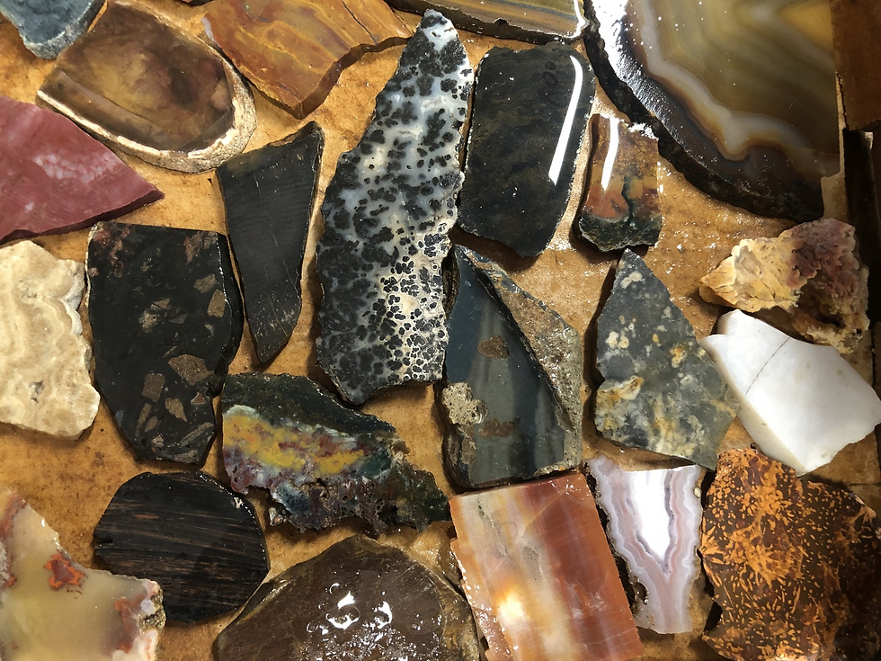 Thumbnail: Jasper Agate Lapidary Slab Lot, Velvet Obsidian, Pet Wood, Medicine Bow Agate #3
