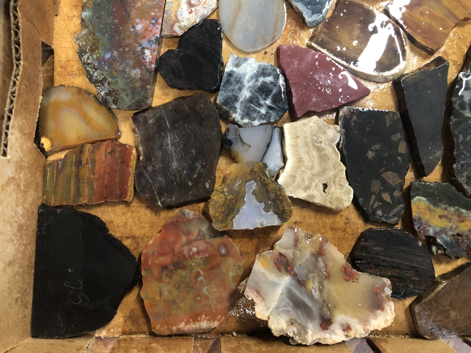 Jasper Agate Lapidary Slab Lot, Velvet Obsidian, Pet Wood, Medicine Bow Agate #3