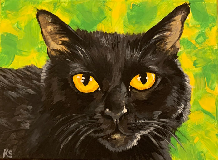Purr-sonal Projects