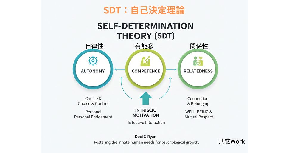 SDT：自己決定理論の概要図