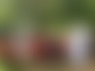 February 2020 – NNEdPro Arrives in Mexico!