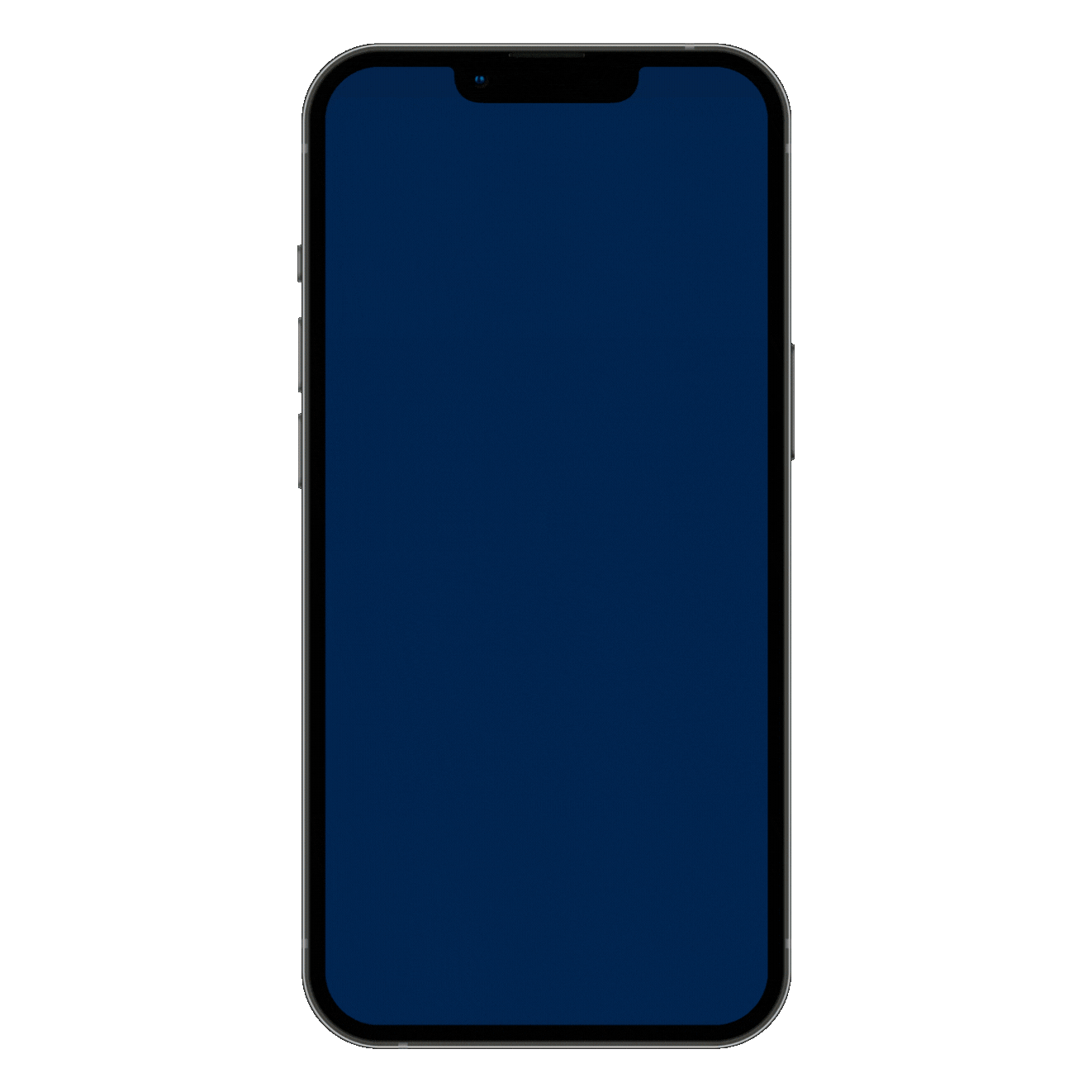 phone mp web.gif