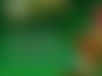 Taller de Interpretación Vocal en Bogotá, Festival Colombia al Parque