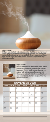 12.HomeStagingCalendar2021.png