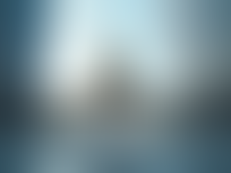 Designing Effective Systems for Public Sector Challenges