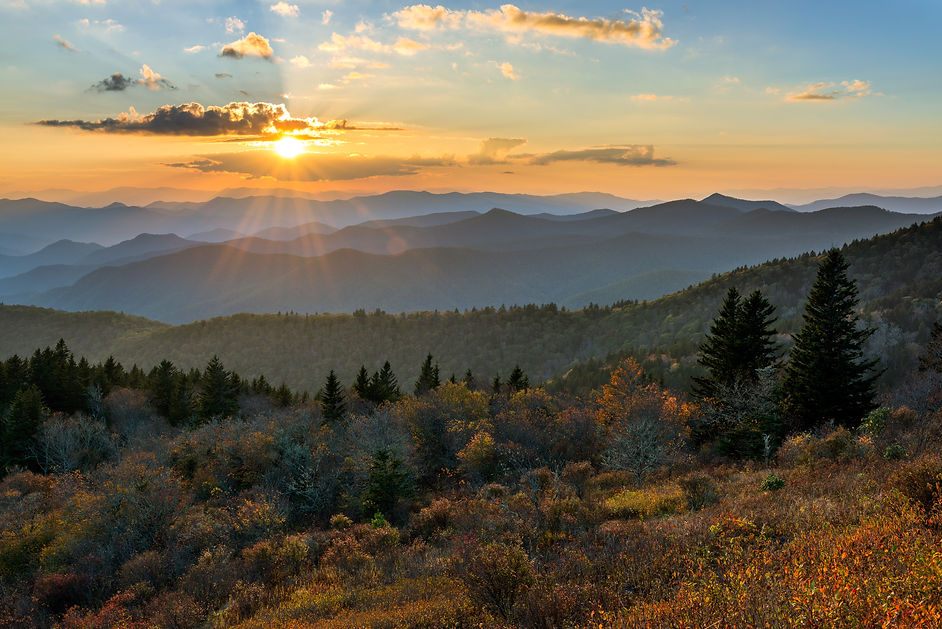 AdobeStock_219709921.jpeg
