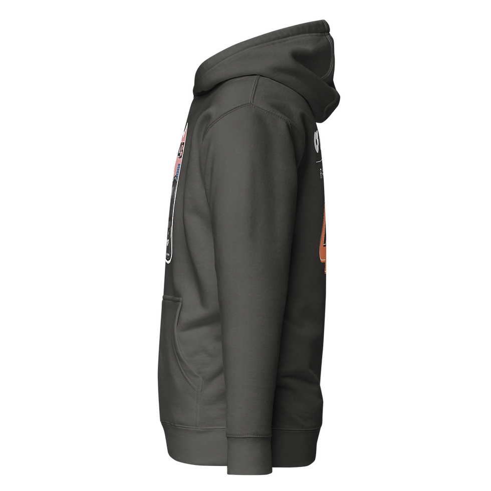 Thumbnail: 43 AMG FLAG V1 LIVERY Hoodie