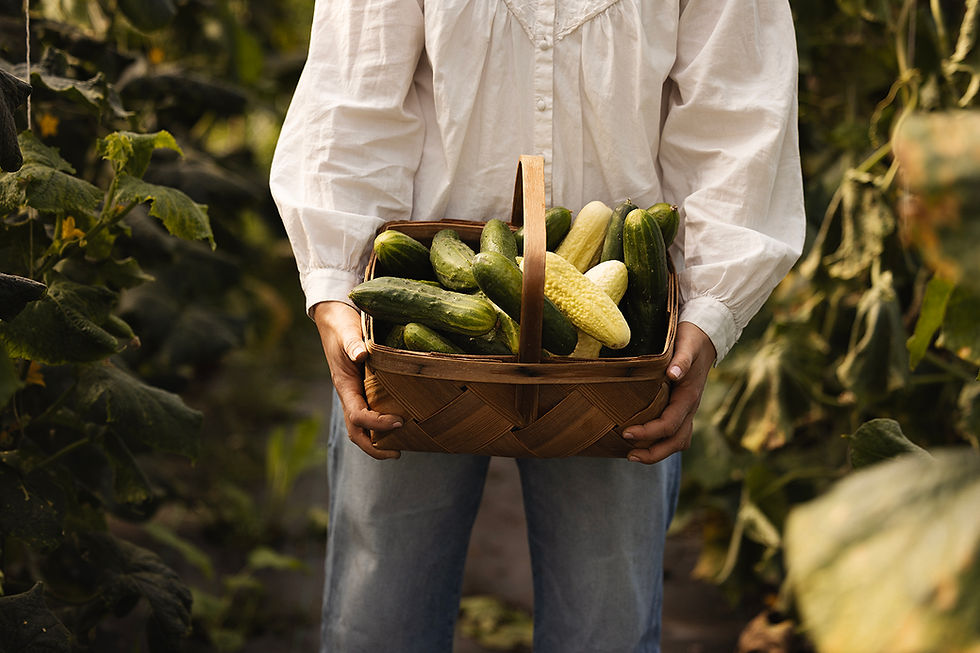 Thumbnail: Wool Pellets